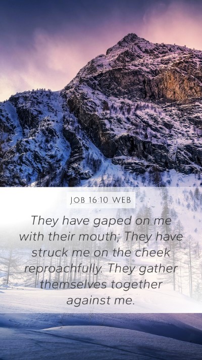 Job 16:10 WEB Bible Verse Image