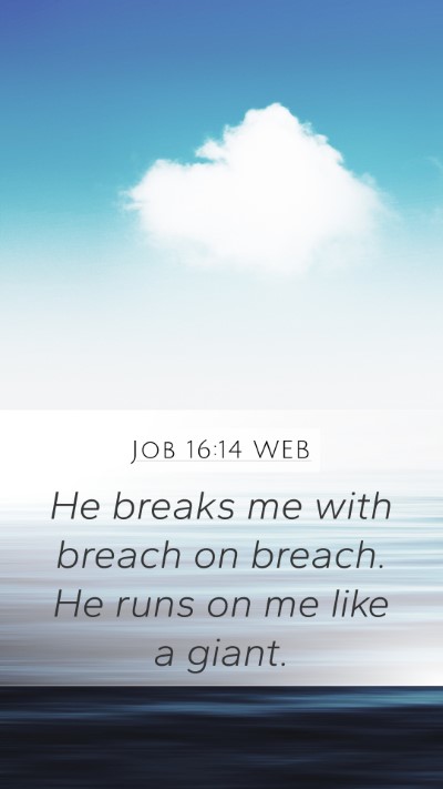Job 16:14 WEB Bible Verse Image