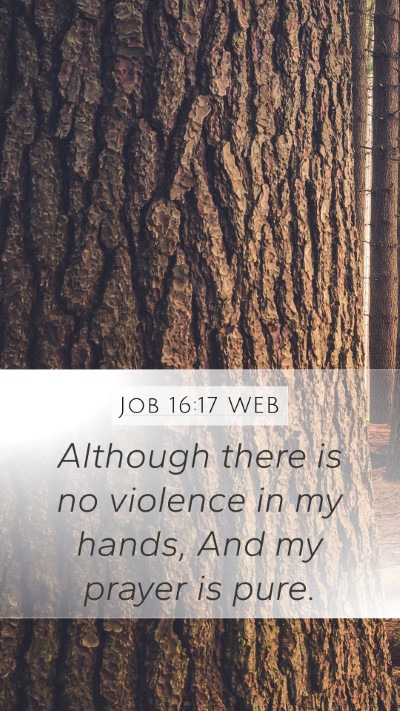Job 16:17 WEB Bible Verse Image