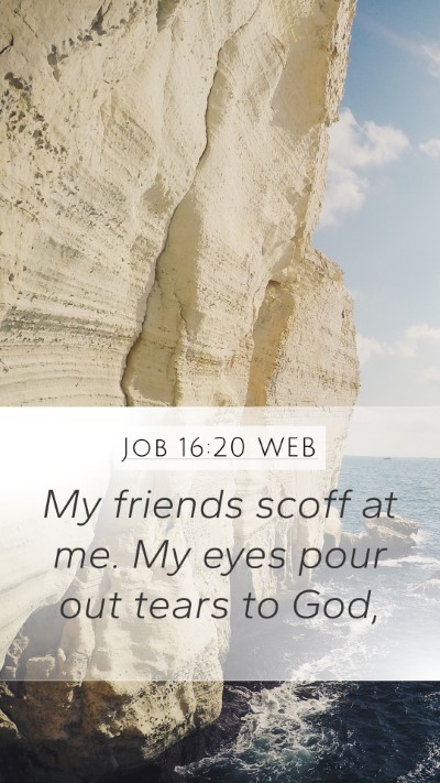 Job 16:20 WEB Bible Verse Image