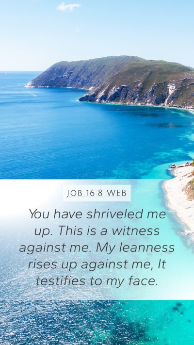 Job 16:8 WEB Mobile Phone Wallpaper - You have shriveled me up. This is a witness - Mobile Bible Verse Wallpaper