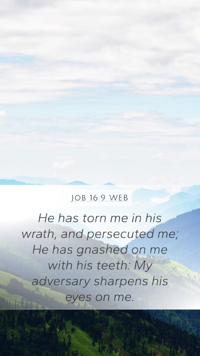 Job 16:9 WEB Bible Verse Image