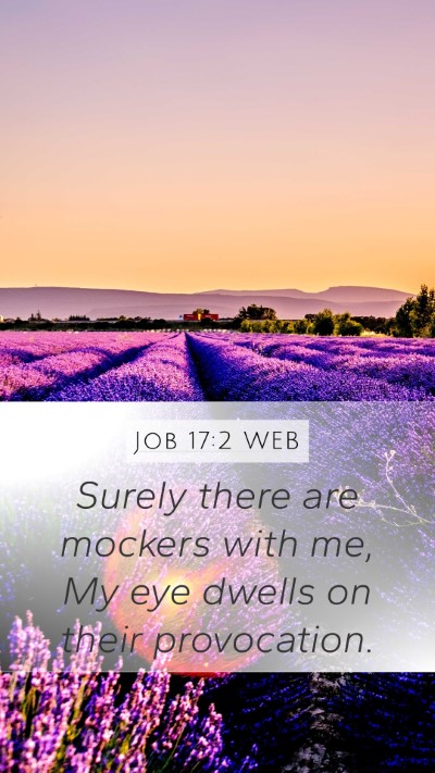 Job 17:2 WEB Bible Verse Image