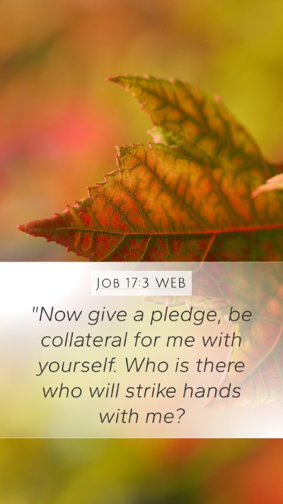 Job 17:3 WEB Bible Verse Image