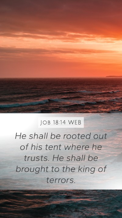 Job 18:14 WEB Bible Verse Image