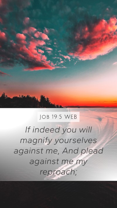 Job 19:5 WEB Bible Verse Image