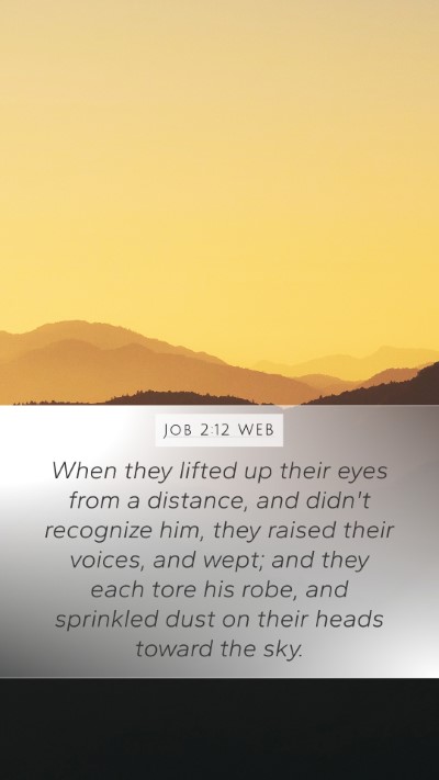 Job 2:12 WEB Bible Verse Image