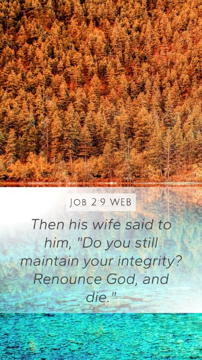 Job 2:9 WEB Bible Verse Image