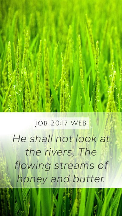 Job 20:17 WEB Mobile Phone Wallpaper - He shall not look at the rivers, The flowing - Mobile Bible Verse Wallpaper