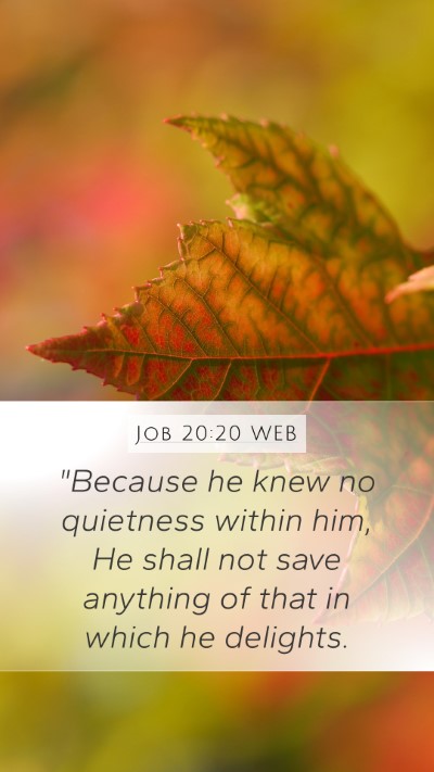 Job 20:20 WEB Mobile Phone Wallpaper - 