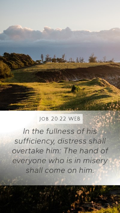 Job 20:22 WEB Bible Verse Image