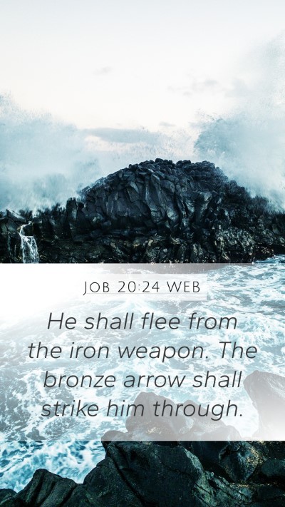 Job 20:24 WEB Bible Verse Image