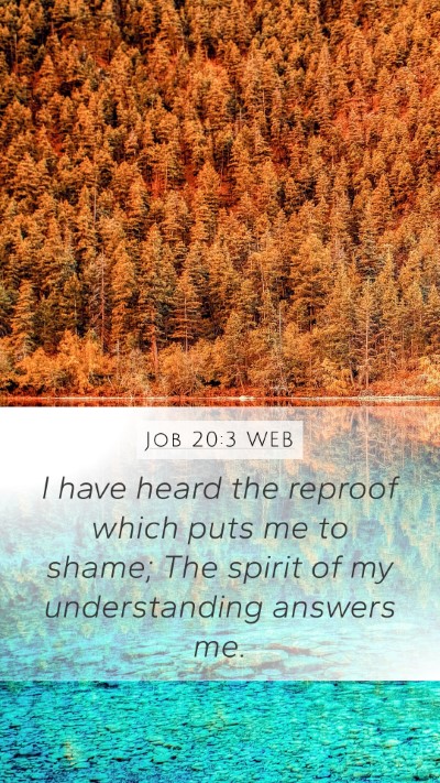 Job 20:3 WEB Bible Verse Image