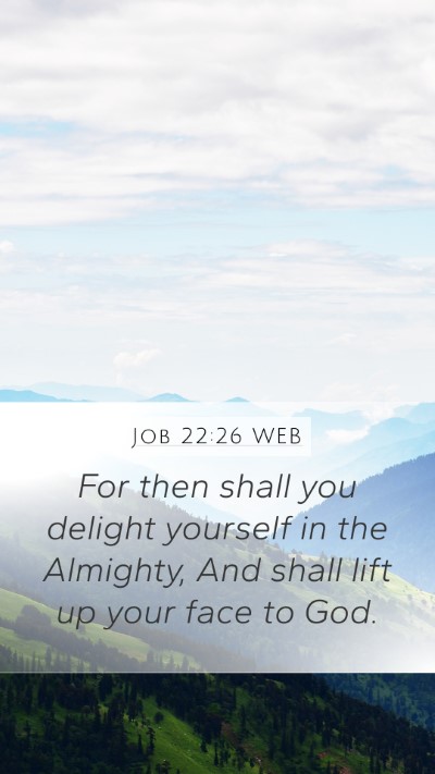 Job 22:26 WEB Mobile Phone Wallpaper - For then shall you delight yourself in the - Mobile Bible Verse Wallpaper