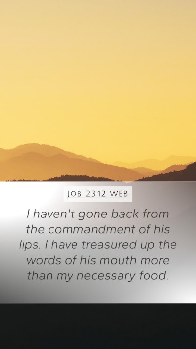 Job 23:12 WEB Bible Verse Image