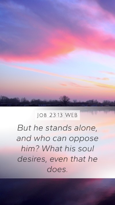 Job 23:13 WEB Bible Verse Image