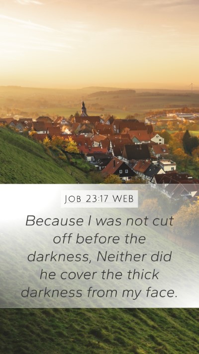 Job 23:17 WEB Mobile Phone Wallpaper - Because I was not cut off before the darkness, - Mobile Bible Verse Wallpaper