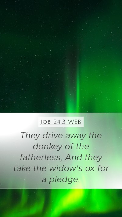 Job 24:3 WEB Bible Verse Image