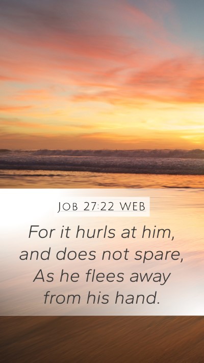 Job 27:22 WEB Mobile Phone Wallpaper - For it hurls at him, and does not spare, As he - Mobile Bible Verse Wallpaper