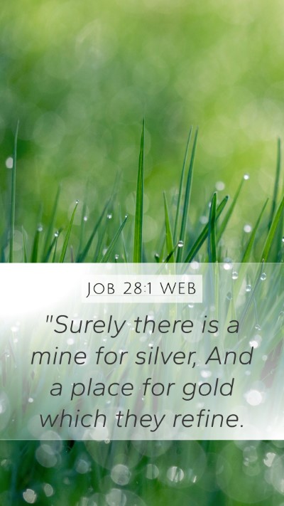 Job 28:1 WEB Mobile Phone Wallpaper - 