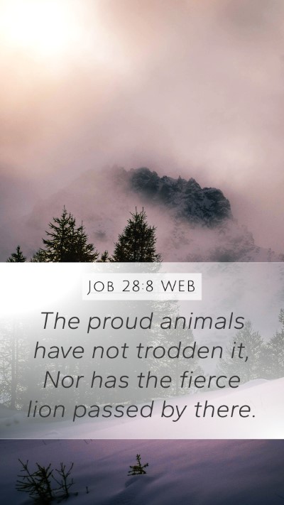 Job 28:8 WEB Mobile Phone Wallpaper - The proud animals have not trodden it, Nor has - Mobile Bible Verse Wallpaper