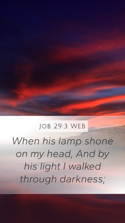 Job 29:3 WEB Bible Verse Image