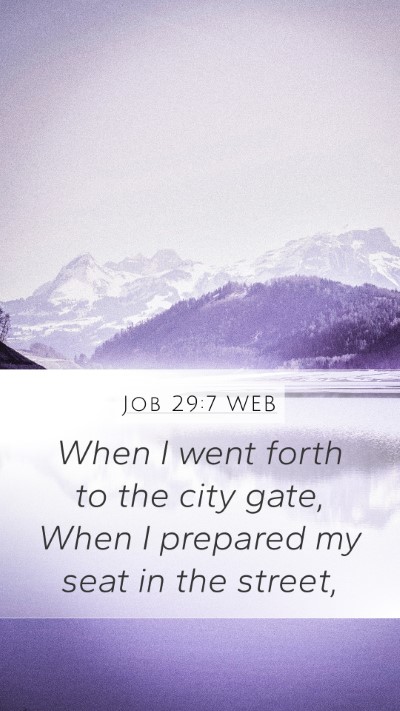 Job 29:7 WEB Bible Verse Image