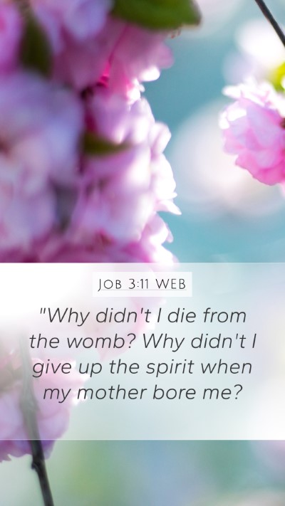 Job 3:11 WEB Bible Verse Image