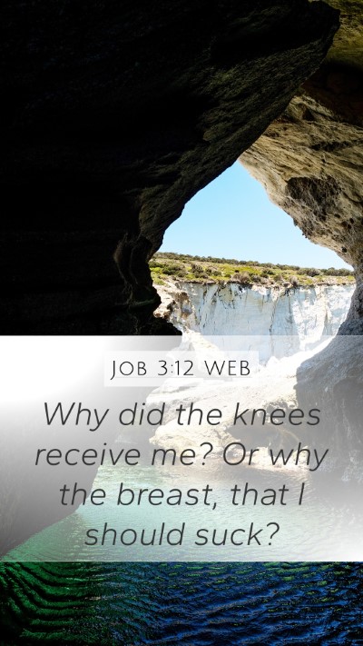 Job 3:12 WEB Mobile Phone Wallpaper - Why did the knees receive me? Or why the breast, - Mobile Bible Verse Wallpaper