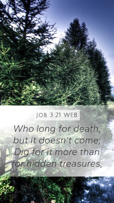 Job 3:21 WEB Bible Verse Image