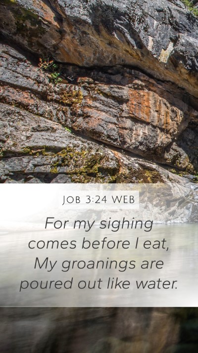 Job 3:24 WEB Bible Verse Image