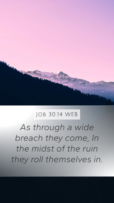 Job 30:14 WEB Bible Verse Image