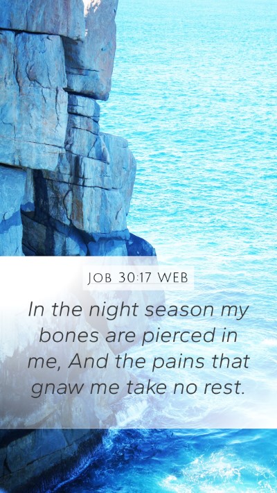 Job 30:17 WEB Bible Verse Image