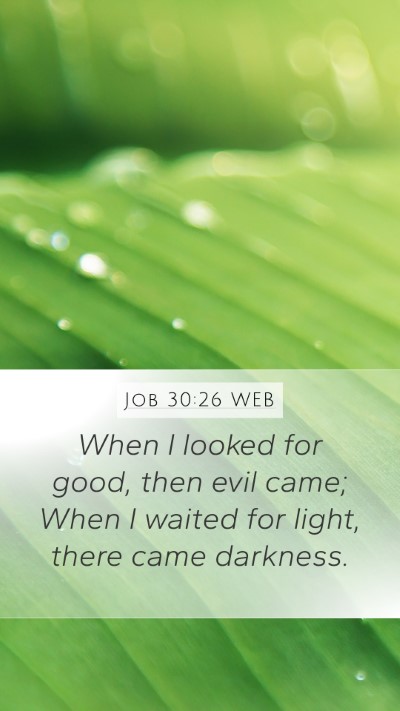 Job 30:26 WEB Bible Verse Image