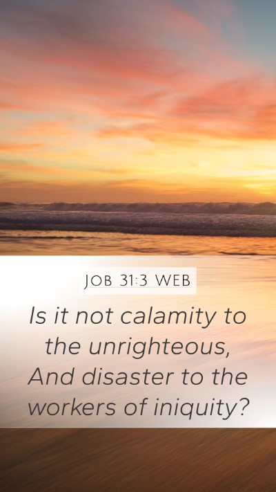 Job 31:3 WEB Bible Verse Image
