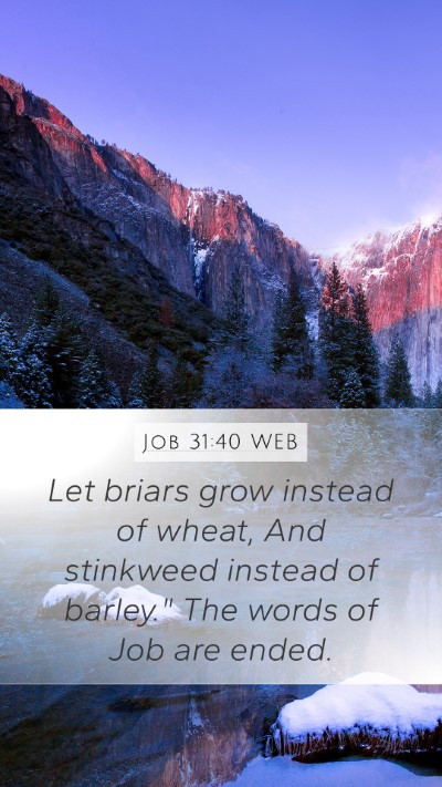 Job 31:40 WEB Bible Verse Image
