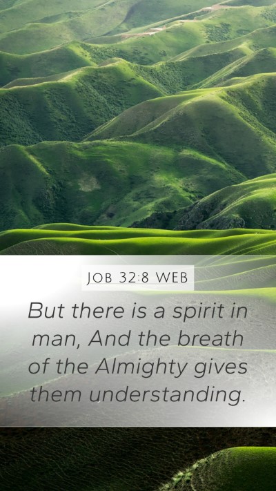 Job 32:8 WEB Bible Verse Image