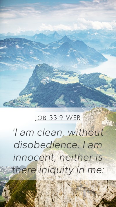 Job 33:9 WEB Bible Verse Image