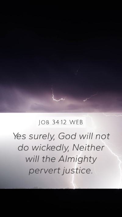 Job 34:12 WEB Bible Verse Image