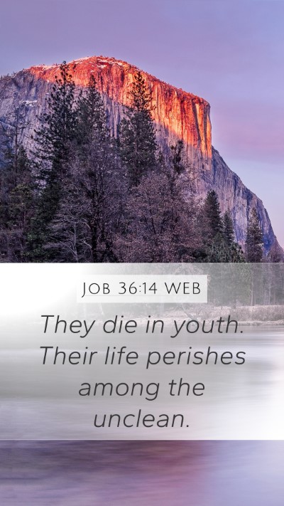 Job 36:14 WEB Bible Verse Image