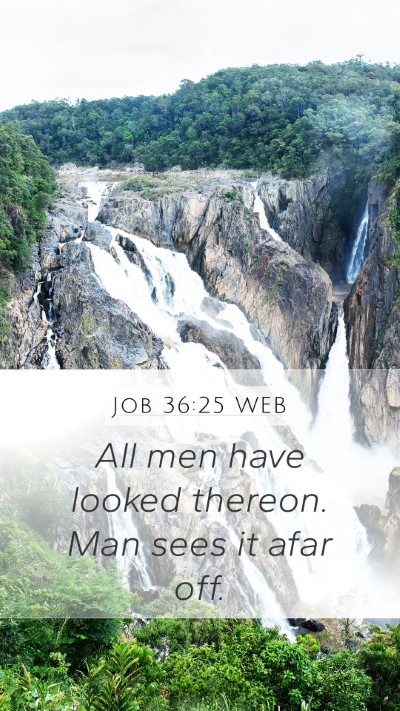 Job 36:25 WEB Mobile Phone Wallpaper - All men have looked thereon. Man sees it afar - Mobile Bible Verse Wallpaper