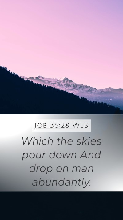 Job 36:28 WEB Bible Verse Image