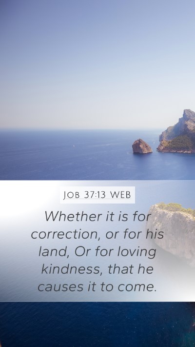 Job 37:13 WEB Mobile Phone Wallpaper - Whether it is for correction, or for his land, Or - Mobile Bible Verse Wallpaper