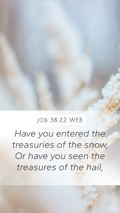 Job 38:22 WEB Bible Verse Image
