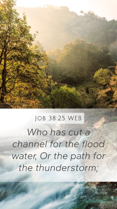 Job 38:25 WEB Bible Verse Image