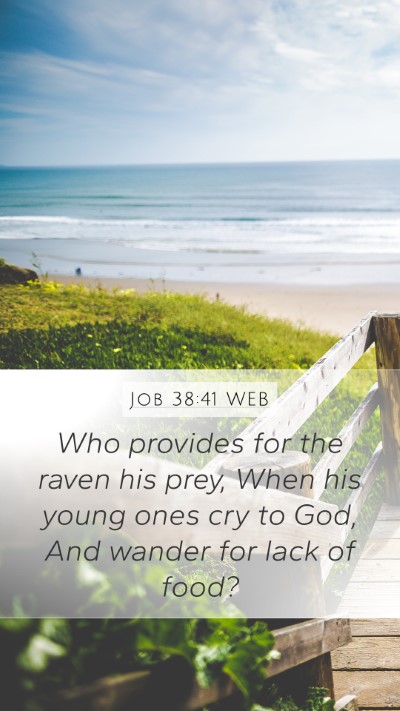 Job 38:41 WEB Bible Verse Image