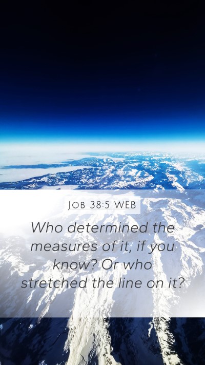 Job 38:5 WEB Mobile Phone Wallpaper - Who determined the measures of it, if you know? - Mobile Bible Verse Wallpaper