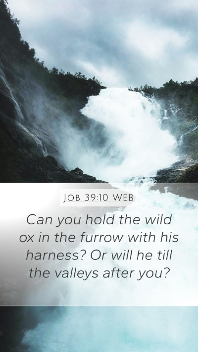 Job 39:10 WEB Mobile Phone Wallpaper - Can you hold the wild ox in the furrow with his - Mobile Bible Verse Wallpaper