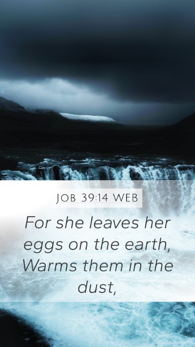 Job 39:14 WEB Bible Verse Image