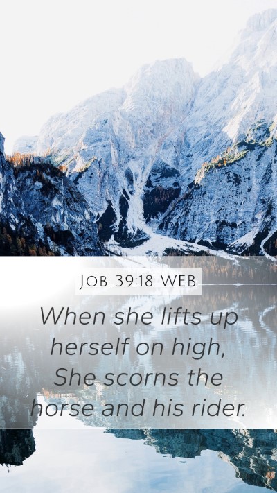 Job 39:18 WEB Bible Verse Image